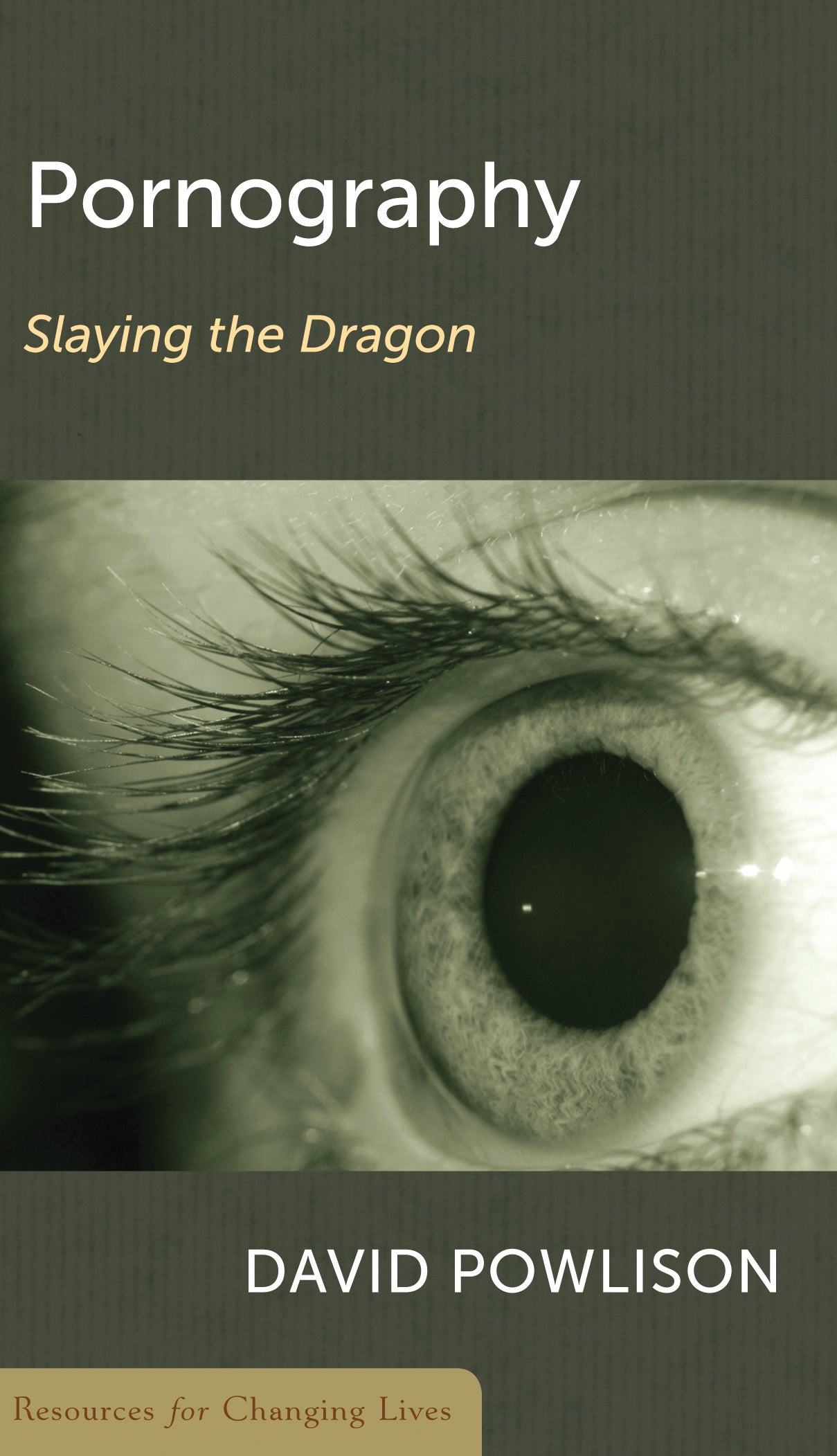 Pornography: Slaying the Dragon (Resources For Changing Lives Series)