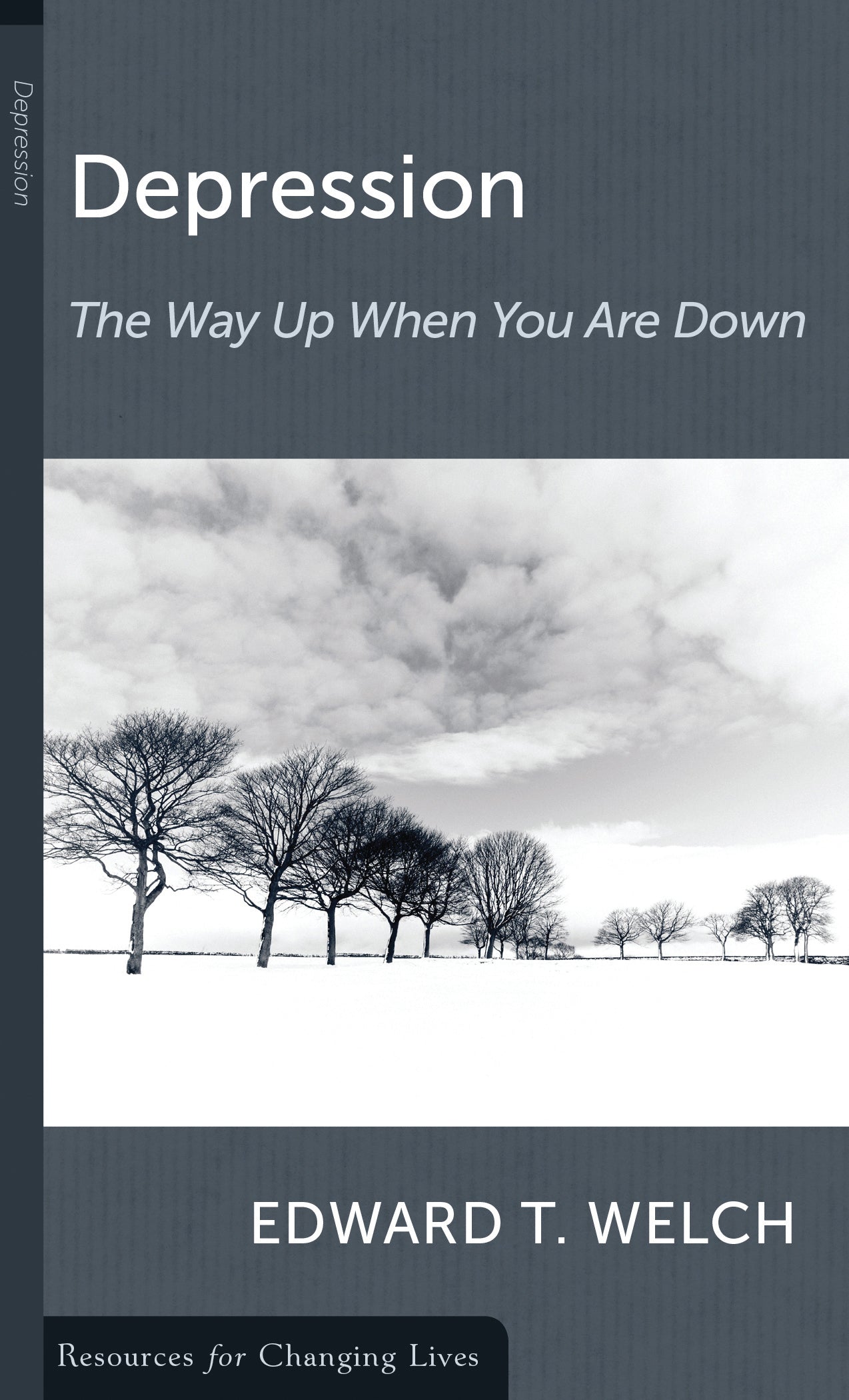 Depression: The Way Up When You Are Down (Resources For Changing Lives Series)