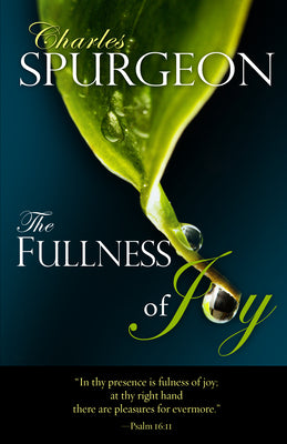 The Fullness of Joy