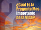 Cual Es La Pregunta Mas Importante De La Vida? 25 Pack (Life's Most Important Question)
