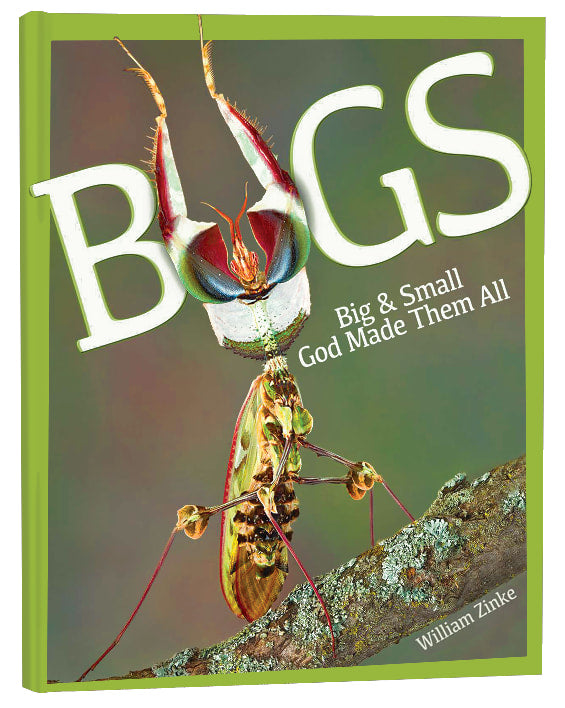 Bugs: Big & Small, God Made Them All