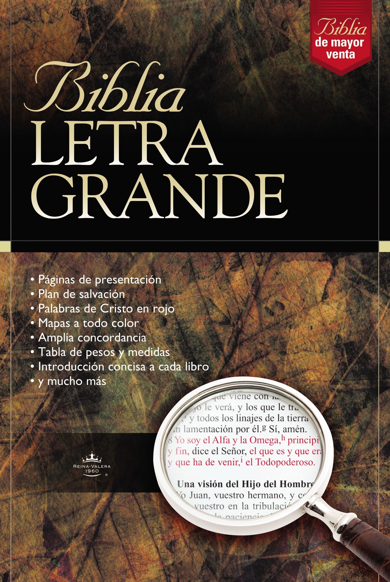 Rvr 1960 Biblia Letra Grande Large Print Black (Red Letter Edition) (Spanish)