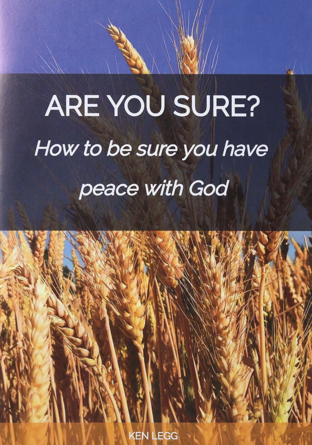 Are You Sure?: How to be sure you have peace with God