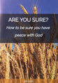 Are You Sure?: How to be sure you have peace with God