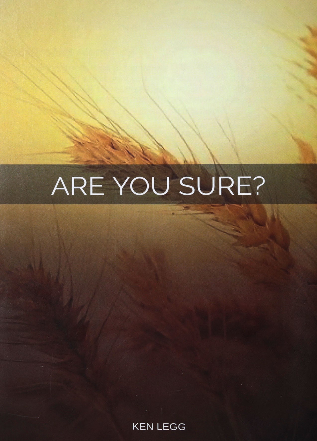 Are You Sure?: How to be sure you have peace with God