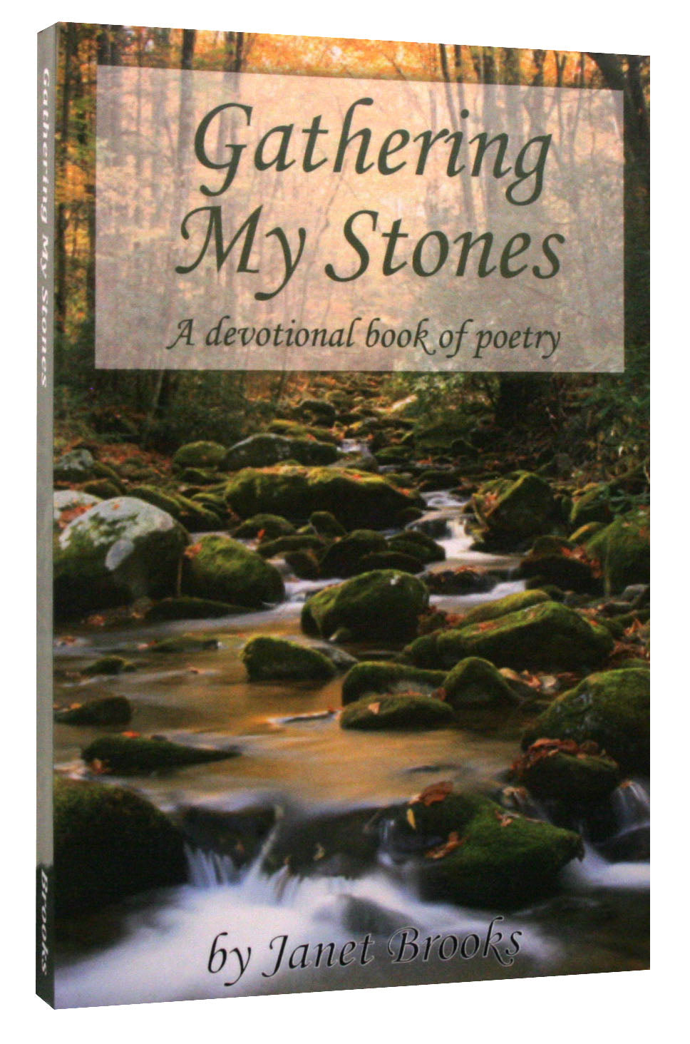 Gathering My Stones