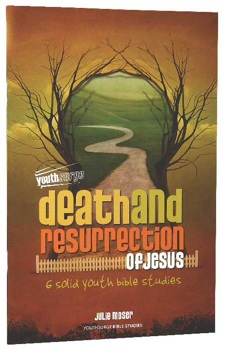 Death and Resurrection of Jesus (Youthsurge Bible Studies Series)