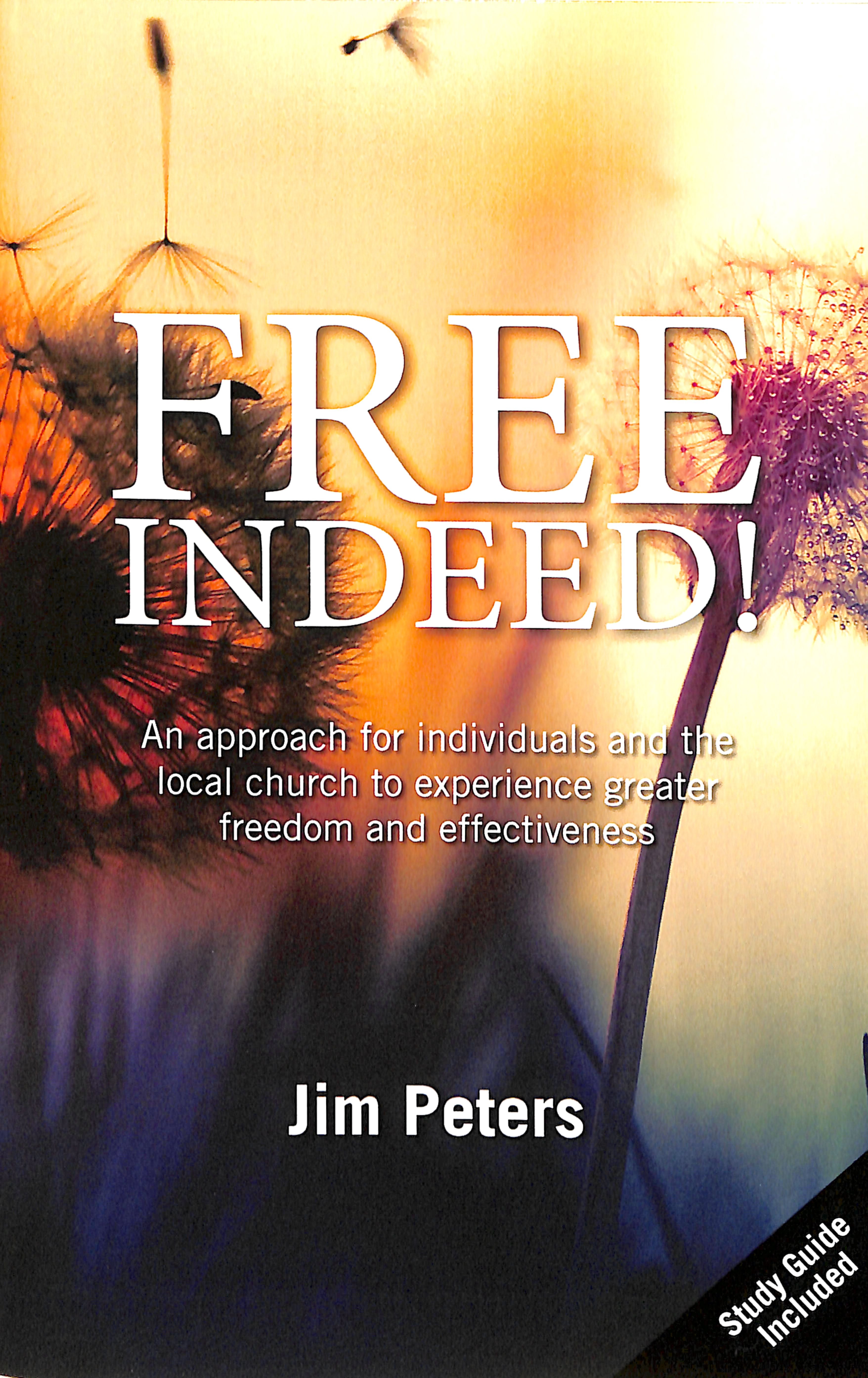 Free Indeed!: An Approach For Individuals and the Local Church to Experience Greater Freedom and Effectiveness