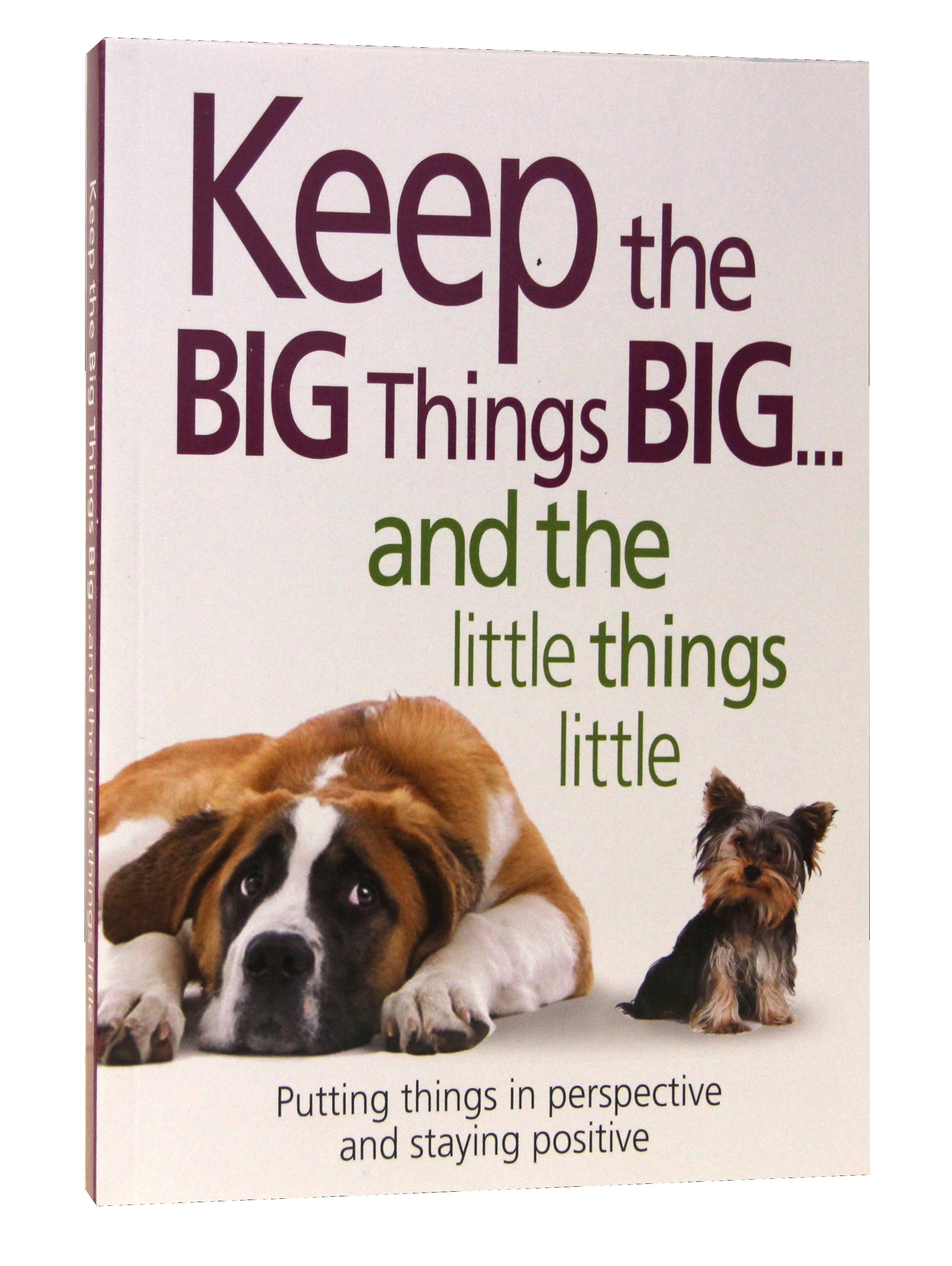 Keep the Big Things Big and the Little Things Little