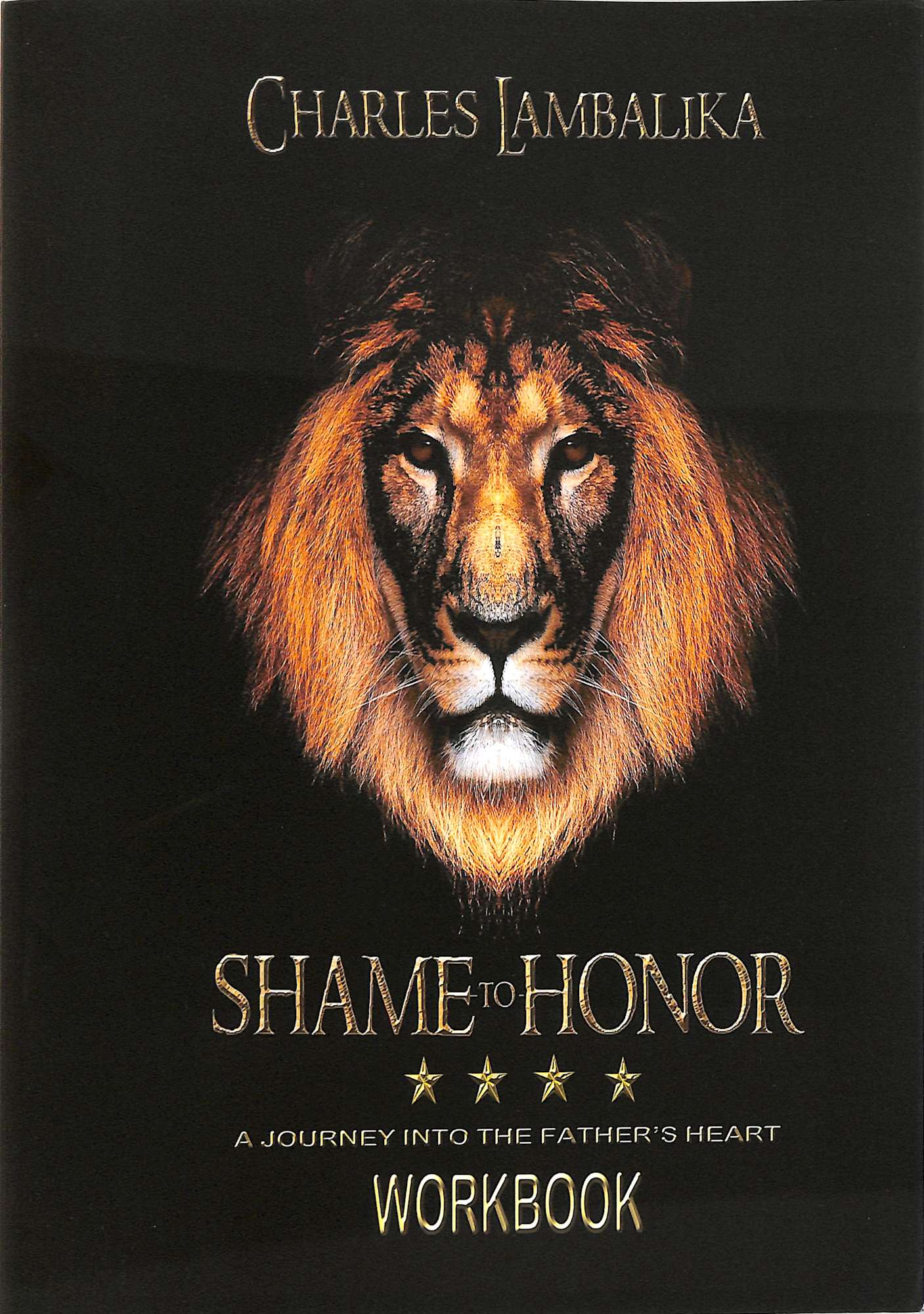 Shame to Honor (Workbook): A Journey Into the Father's Heart