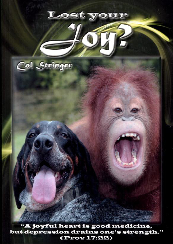 Whatever Happened to Joy?