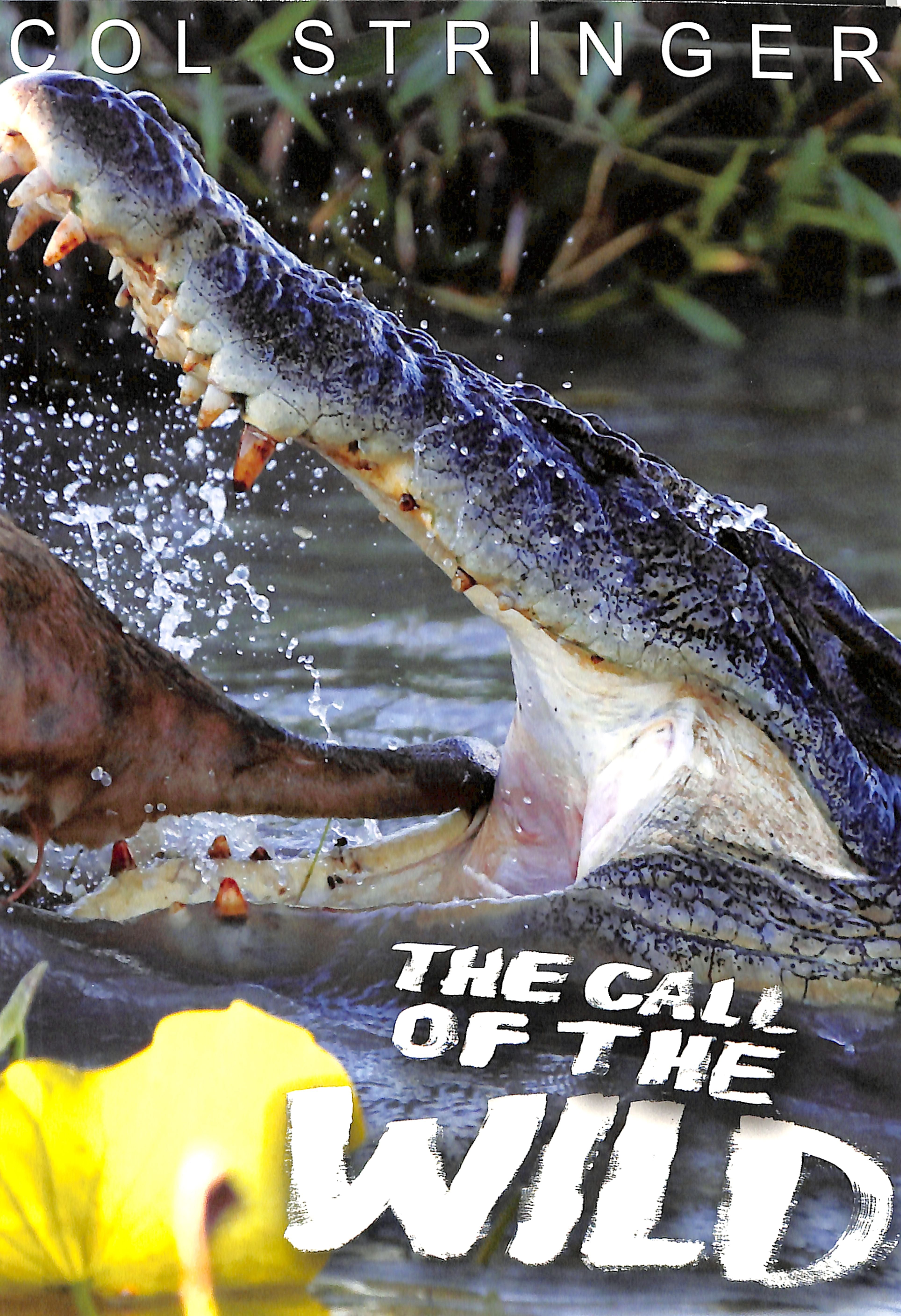 The Call of the Wild