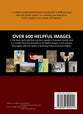 Essential Bible Insights: A Study of Manners & Customs of Bible Times