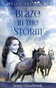 Blaze in the Storm (#01 in Aussie Sky Series)