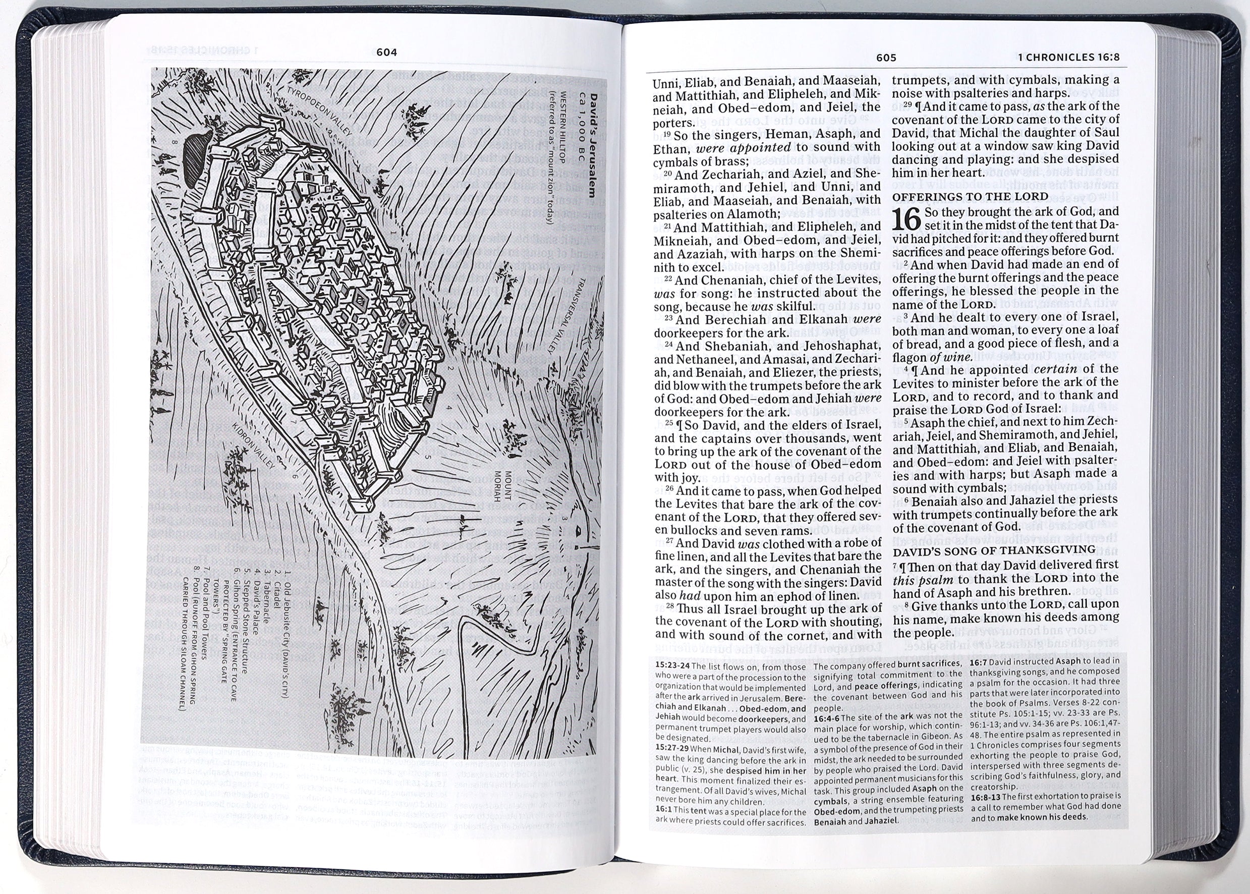 KJV Everyday Study Bible Navy Cross