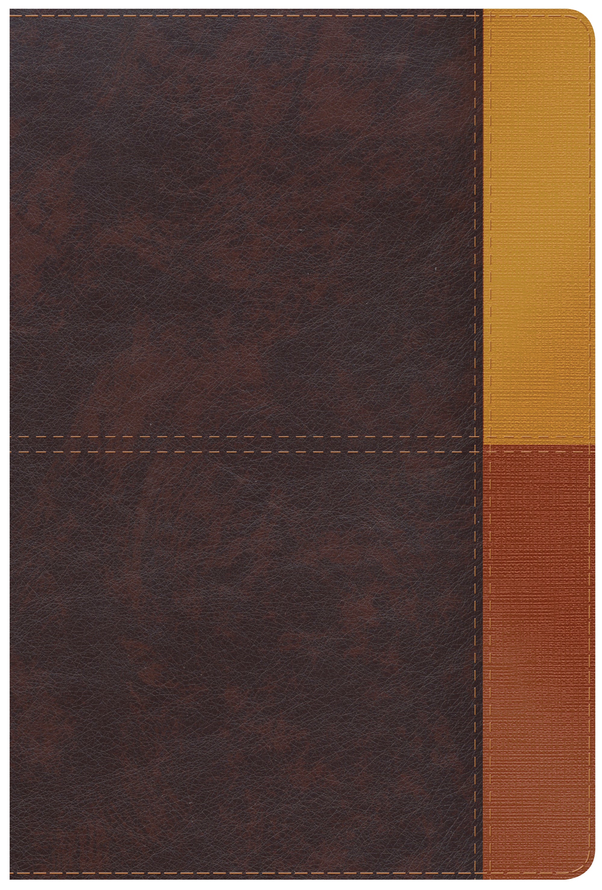 Rvr 1960 Biblia De Estudio Arco Iris Gris Pizarra/Oliva