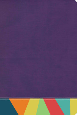 Rvr 1960 Biblia De Estudio Arco Iris Morado/Multicolor