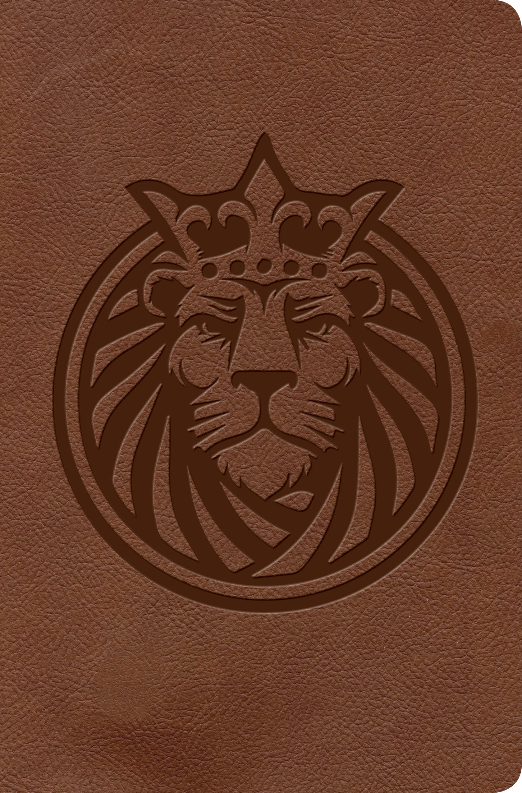 KJV Kids Bible Lion