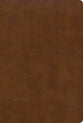 KJV Large Print Thinline Bible Black (Red Letter Edition)