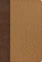 KJV Rainbow Study Bible Brown/Tan
