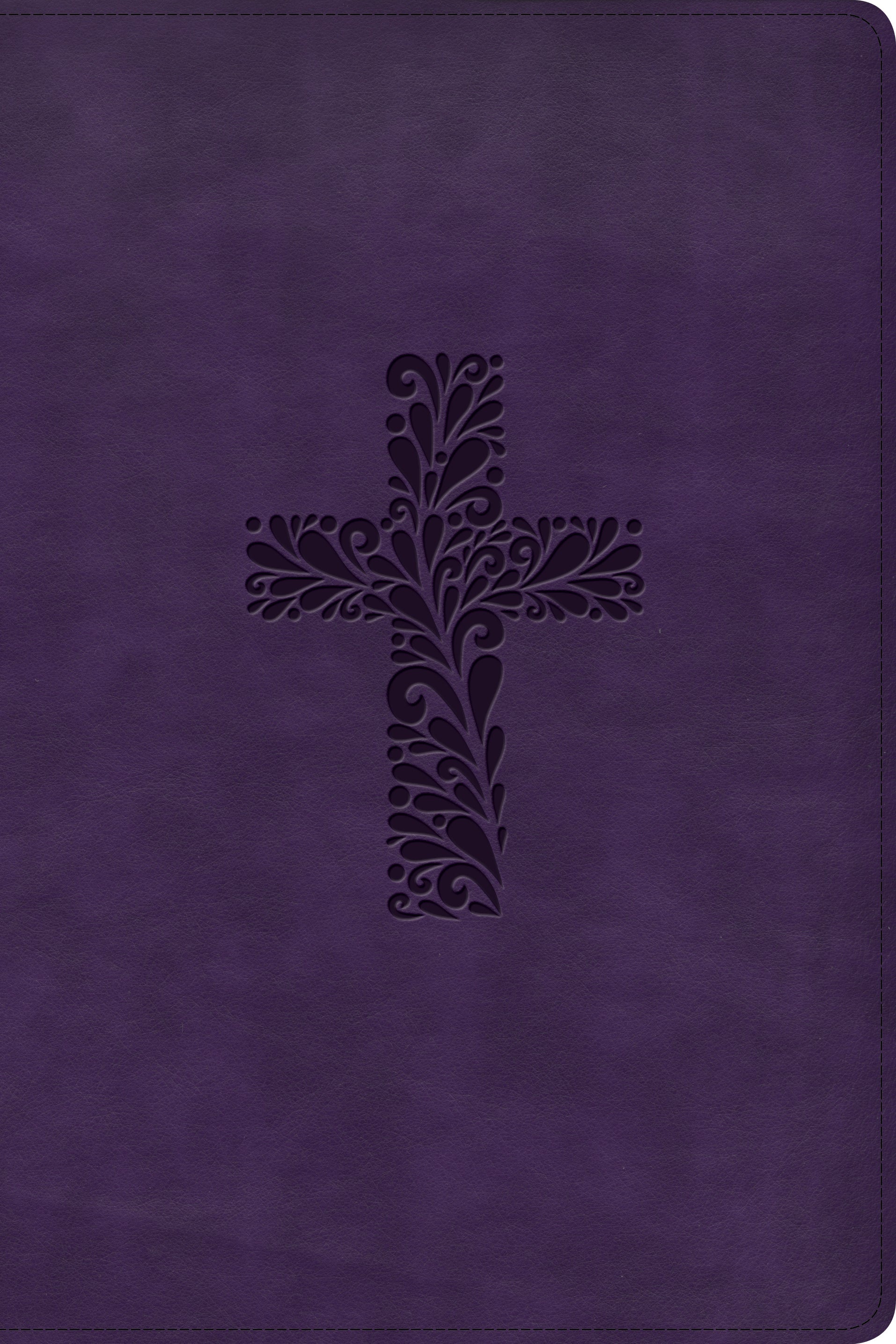 KJV Rainbow Study Bible Purple