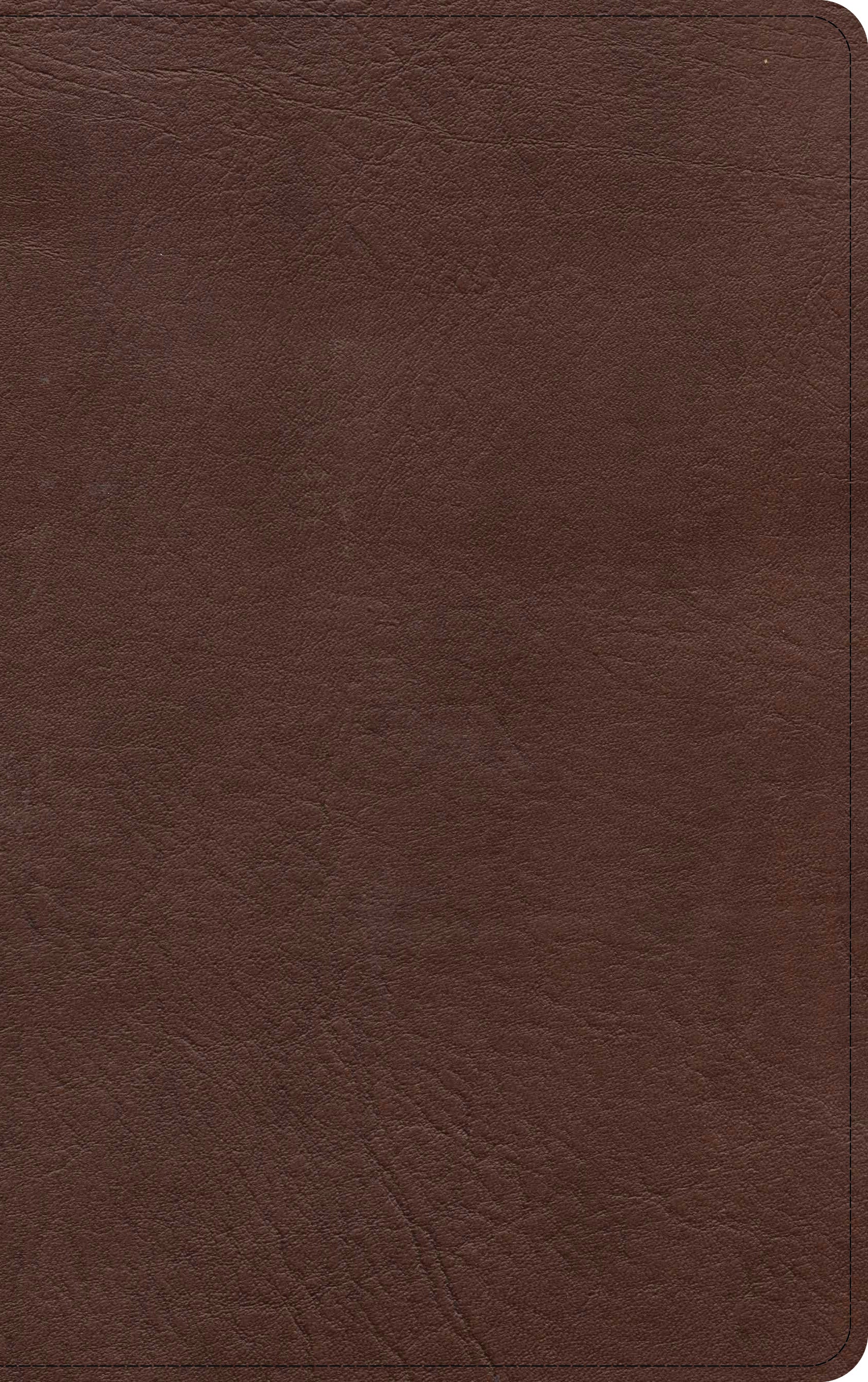KJV Single-Column Personal Size Bible Black/Brown (Red Letter Edition)