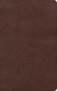 KJV Single-Column Personal Size Bible Black/Brown (Red Letter Edition)