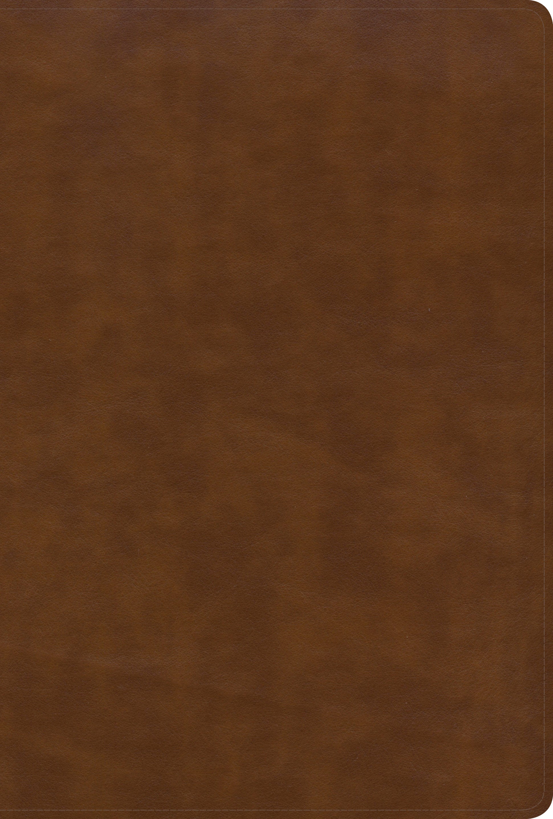 KJV Large Print Ultrathin Reference Bible British Tan Indexed (Black Letter Edition)