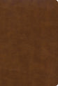 KJV Large Print Ultrathin Reference Bible British Tan Indexed (Black Letter Edition)