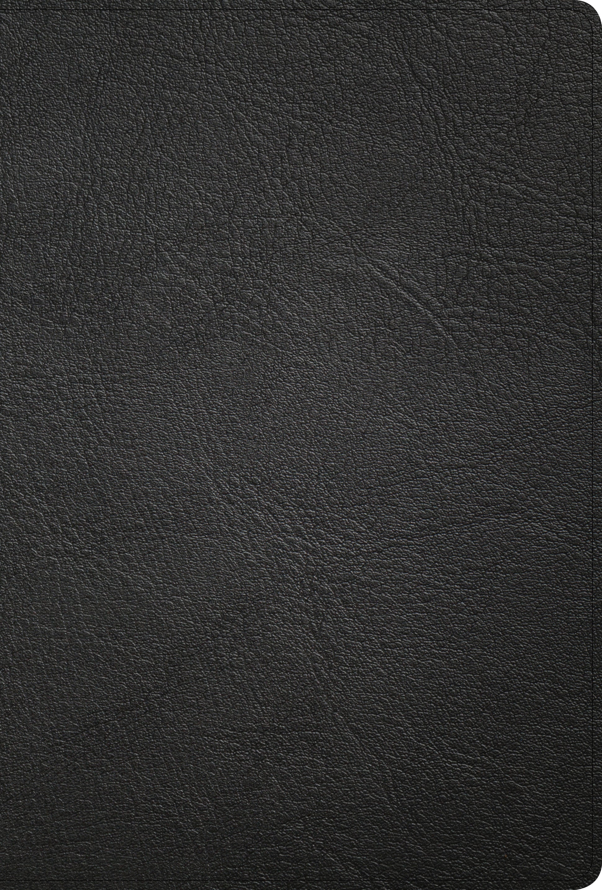 KJV Large Print Thinline Bible Brown (Red Letter Edition)