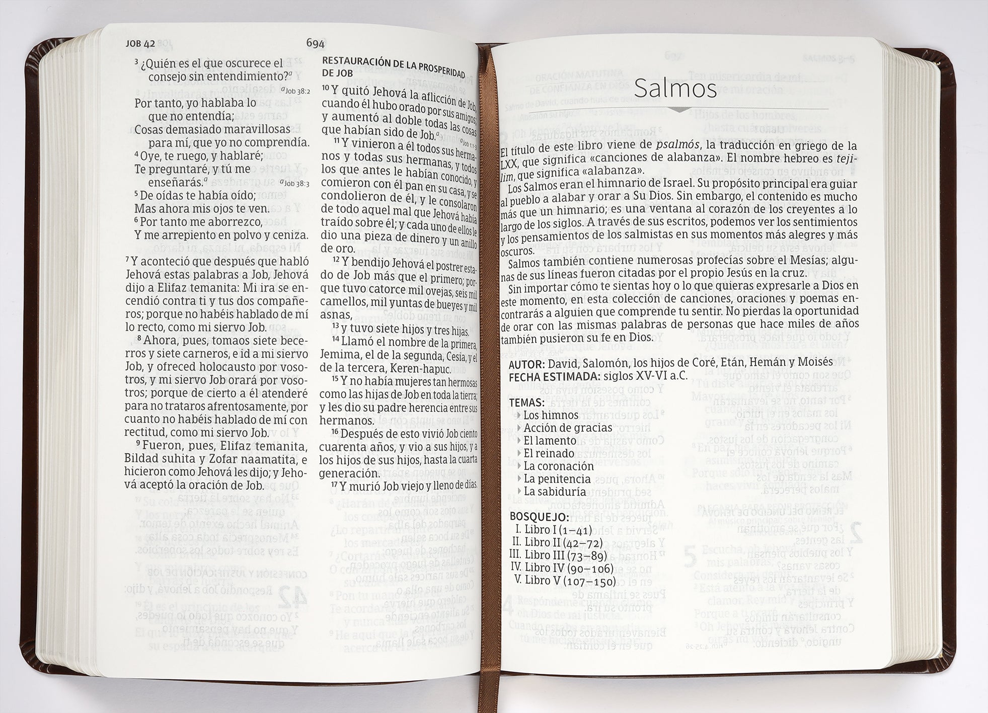 Rvr 1960 Hand Size Giant Print Spanish Bible With Holy Land Images Brown (Red Letter Edition)