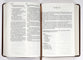 Rvr 1960 Hand Size Giant Print Spanish Bible With Holy Land Images Brown (Red Letter Edition)