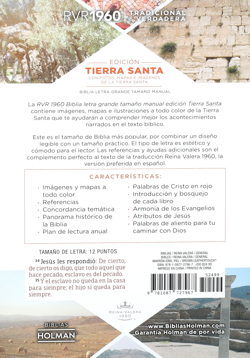 Rvr 1960 Hand Size Giant Print Spanish Bible With Holy Land Images Brown (Red Letter Edition)