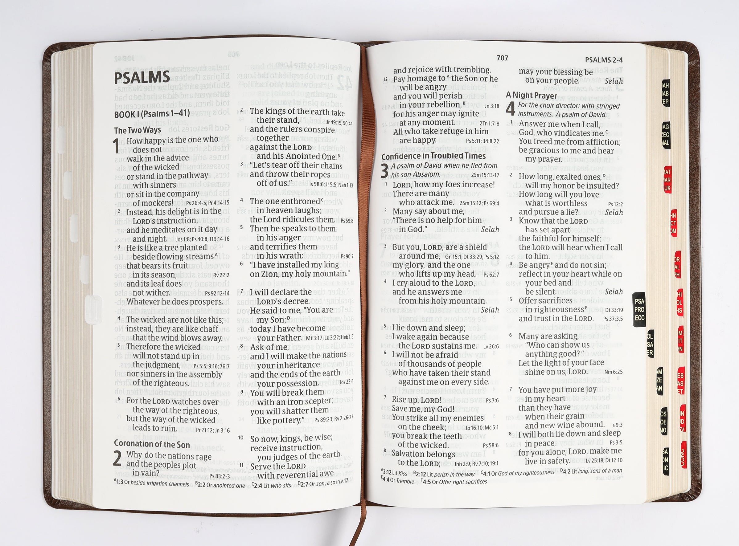 CSB Large Print Personal Size Reference Bible Indexed Brown Celtic Cross (Red Letter Edition)