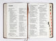 CSB Large Print Personal Size Reference Bible Indexed Brown Celtic Cross (Red Letter Edition)