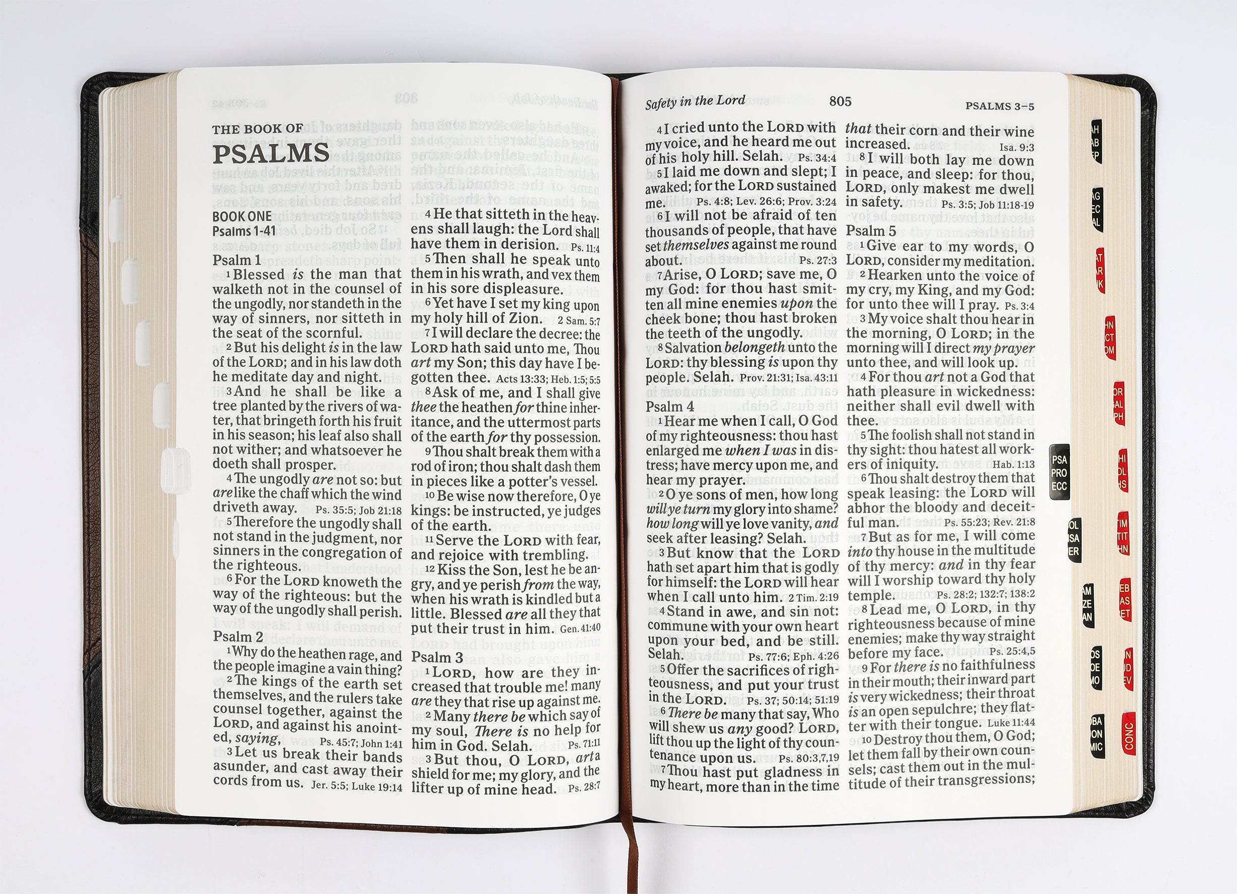 KJV Large Print Personal Size Reference Bible, Brown/Black Leathertouch Indexed