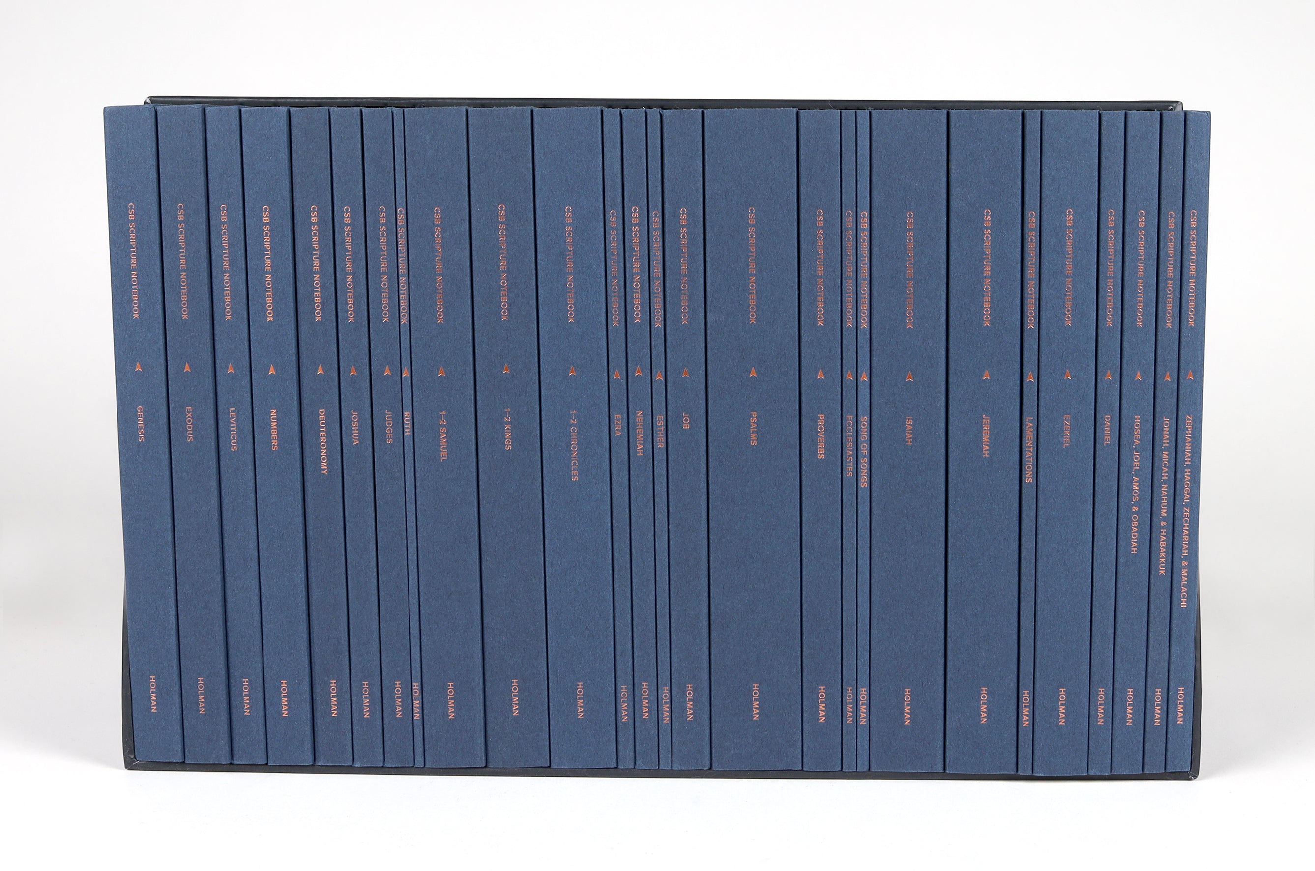 CSB Scripture Notebook Old Testament (27 Book Set)