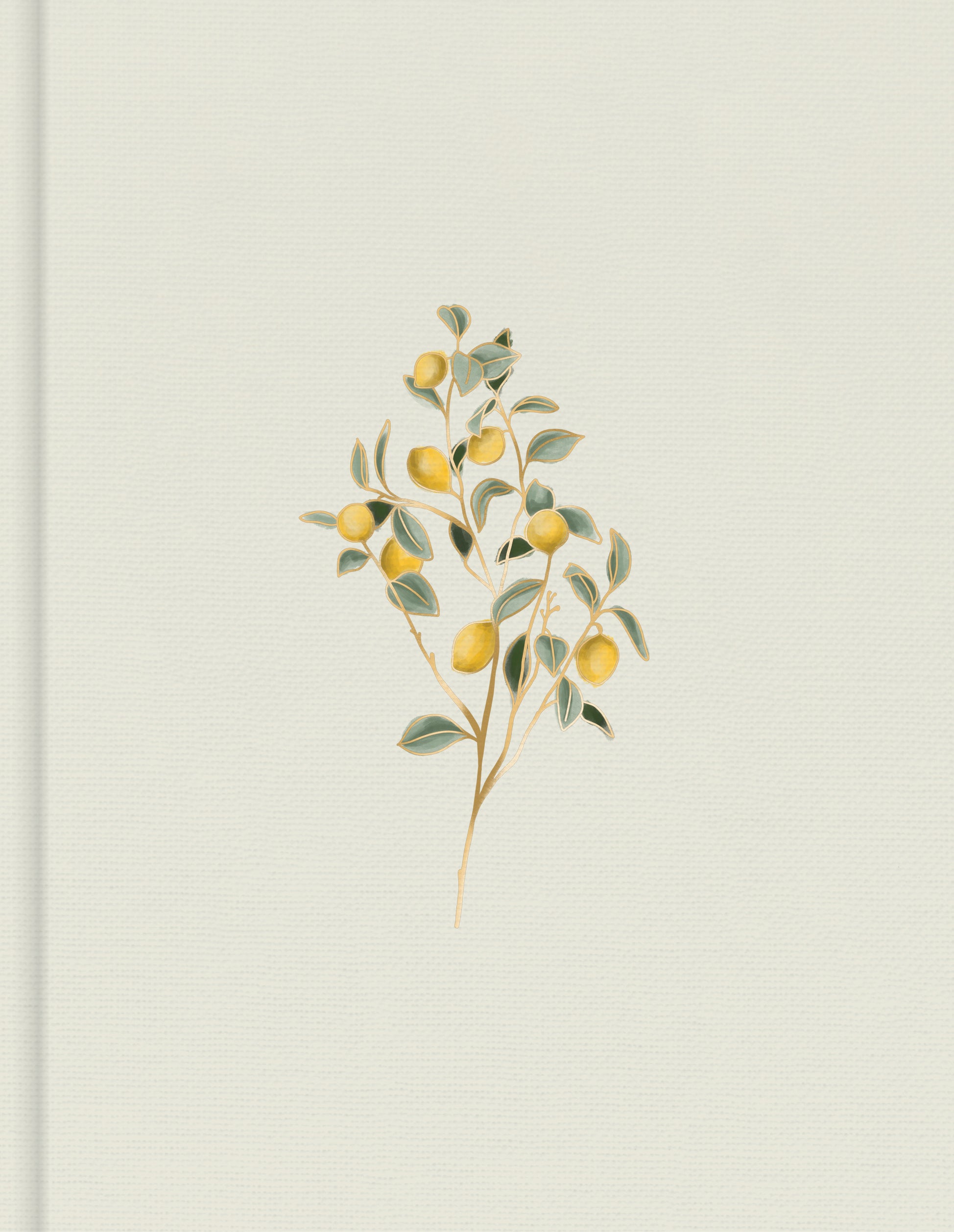 CSB Hosanna Revival Notetaking Bible Lemons