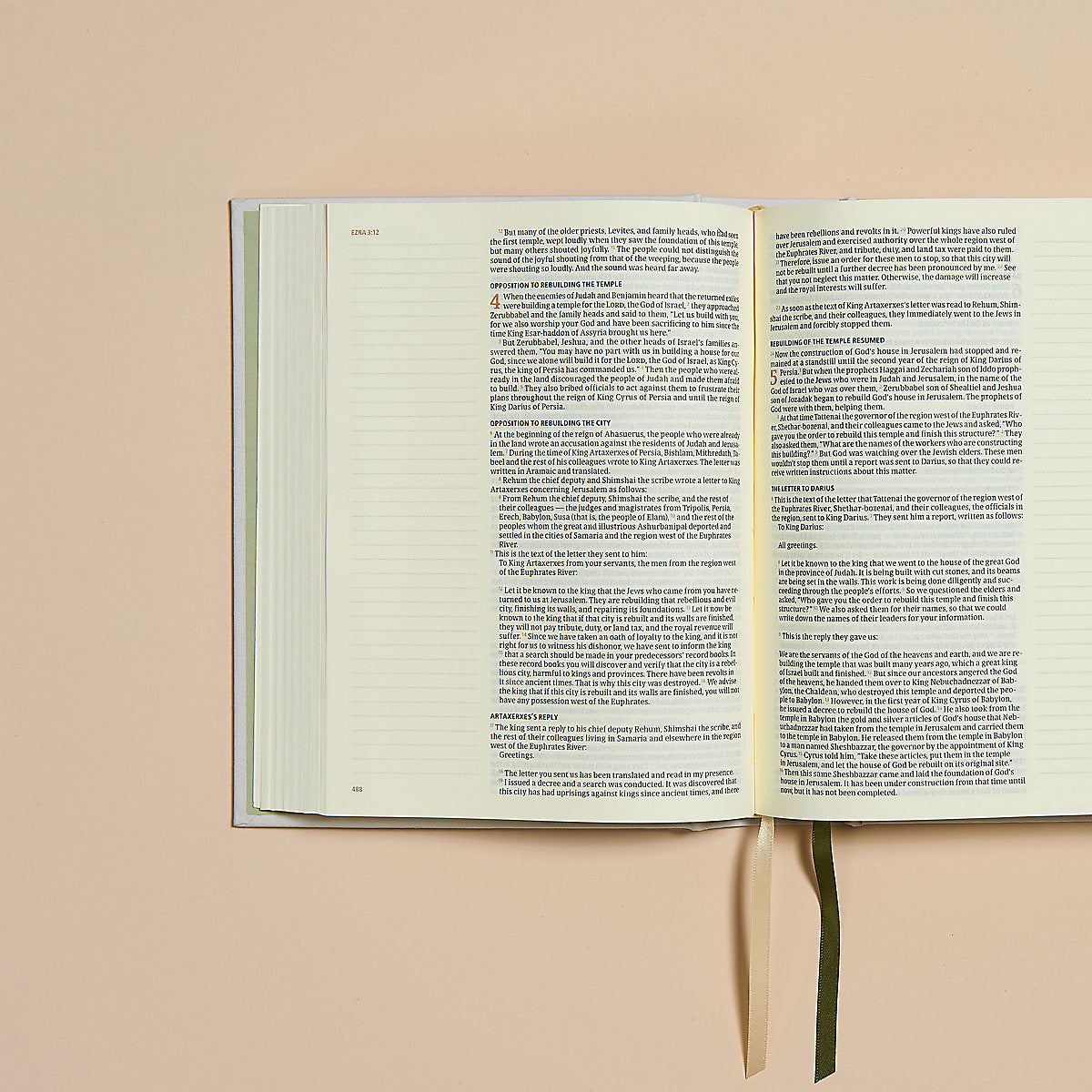 CSB Hosanna Revival Notetaking Bible Lemons