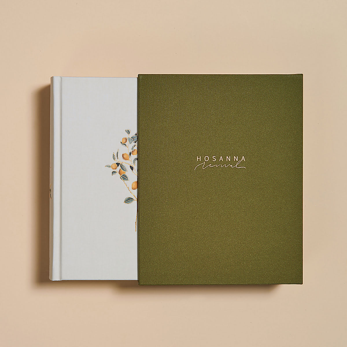 CSB Hosanna Revival Notetaking Bible Lemons