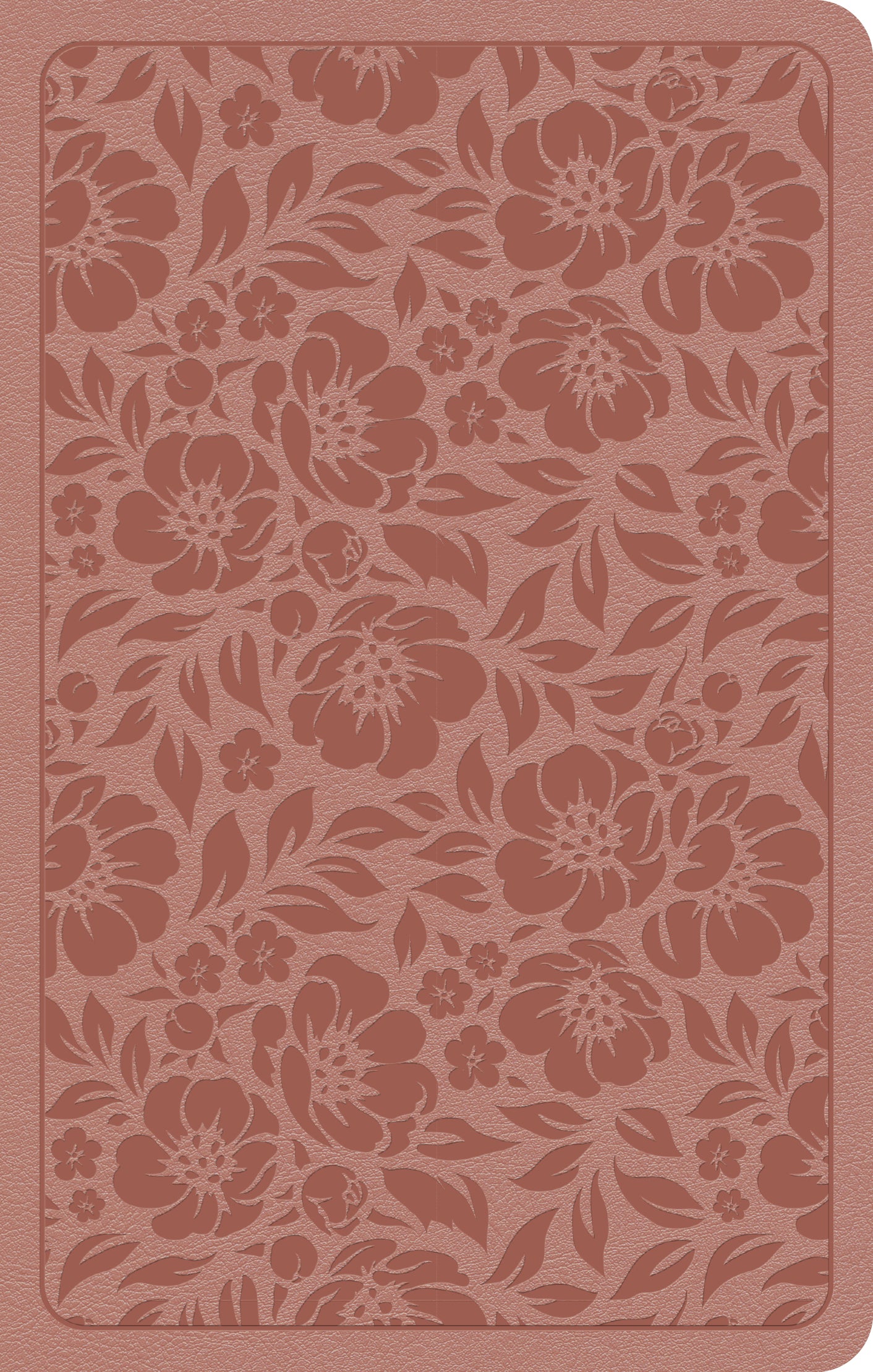 KJV Personal Size Bible Rose Gold (Red Letter Edition)