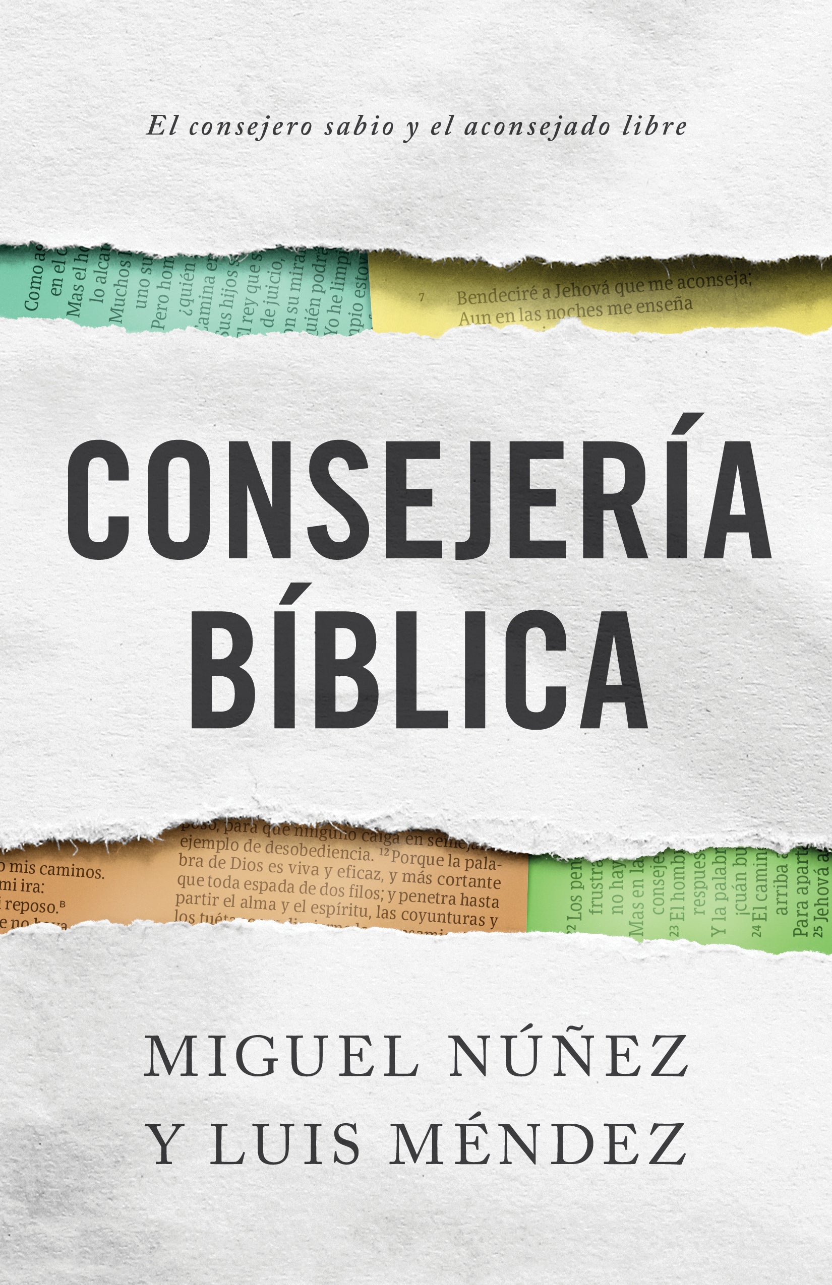Consejeria Biblica (Spanish)