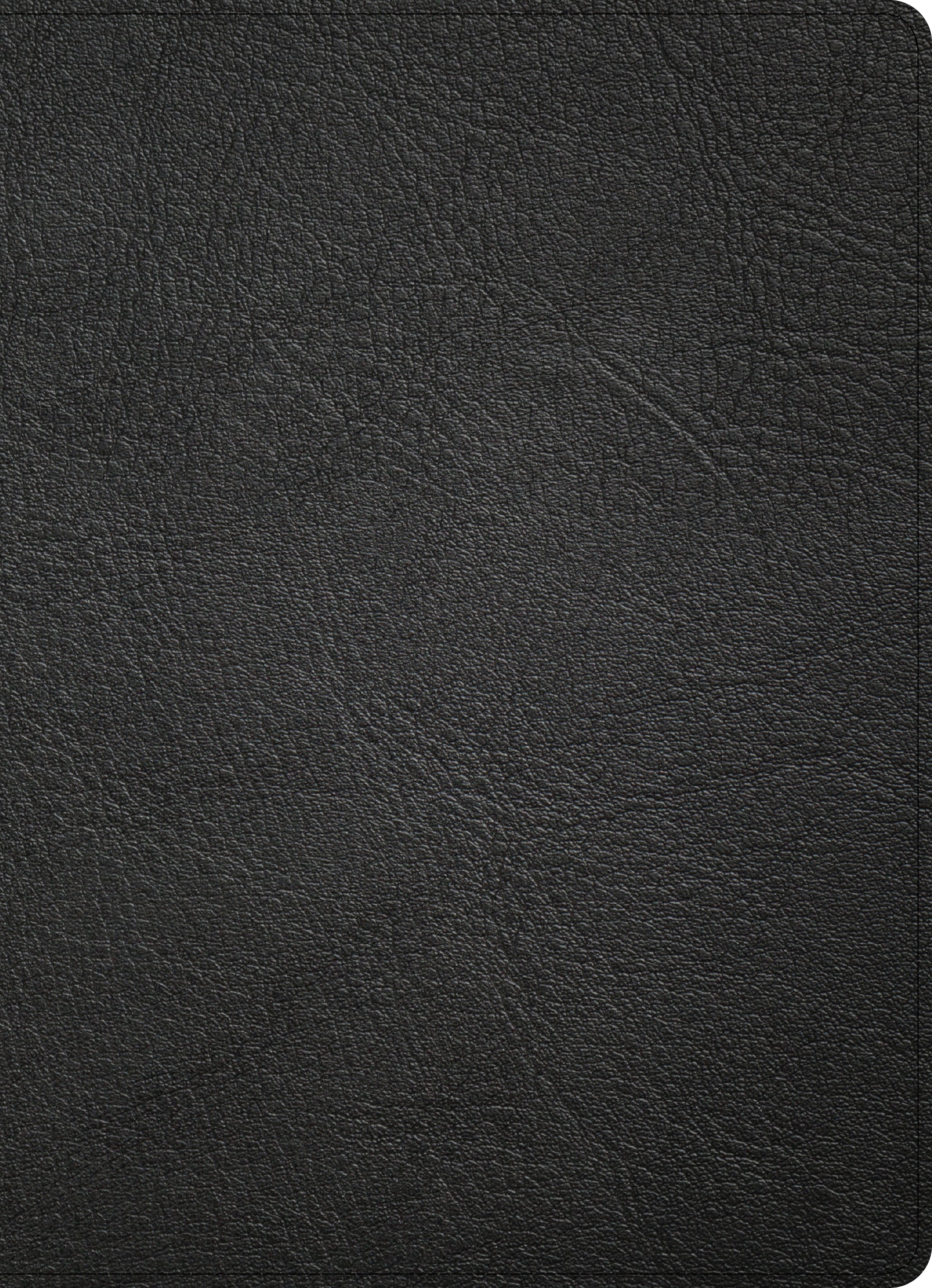 CSB Study Bible Holman Handcrafted Collection Premium Black Goatskin (Red Letter Edition)