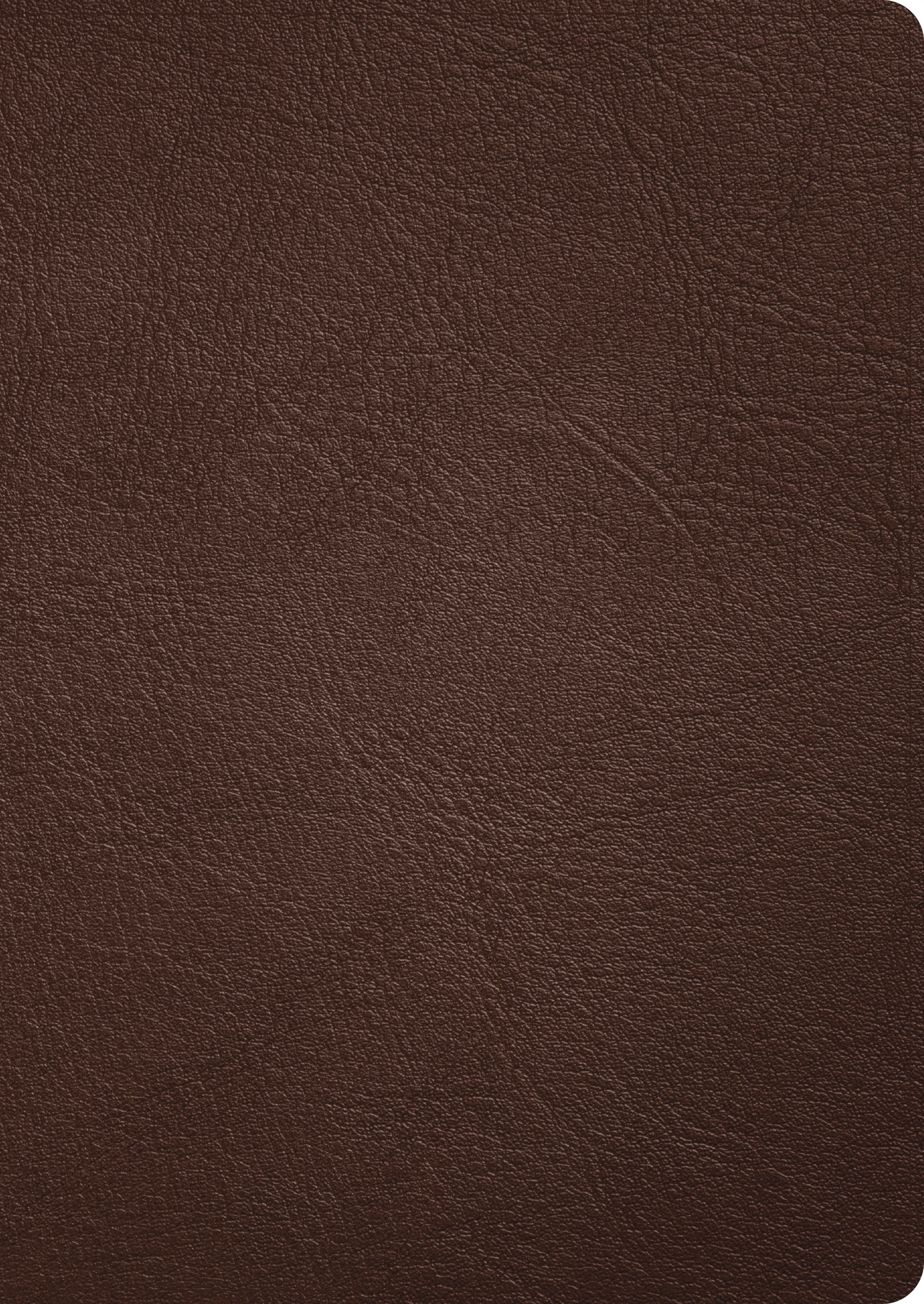 CSB Verse-By-Verse Reference Bible Holman Handcrafted Collection Brown Goatskin Leather (Black Letter Edition)