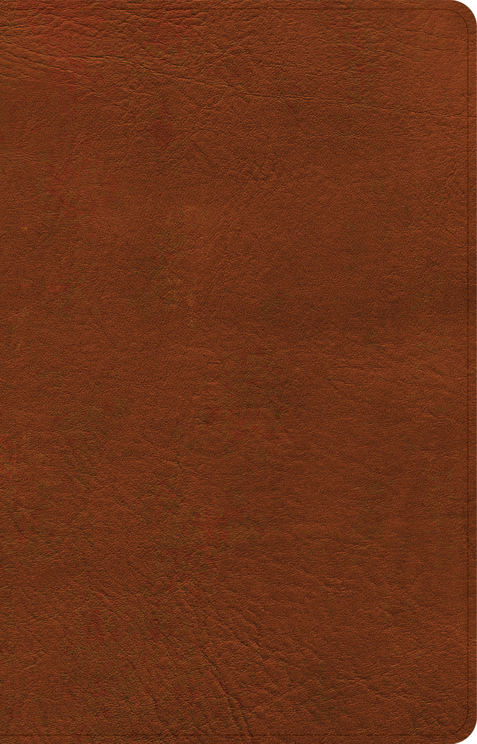 NASB Large Print Personal Size Reference Bible Burnt Sienna (Red Letter Edition)