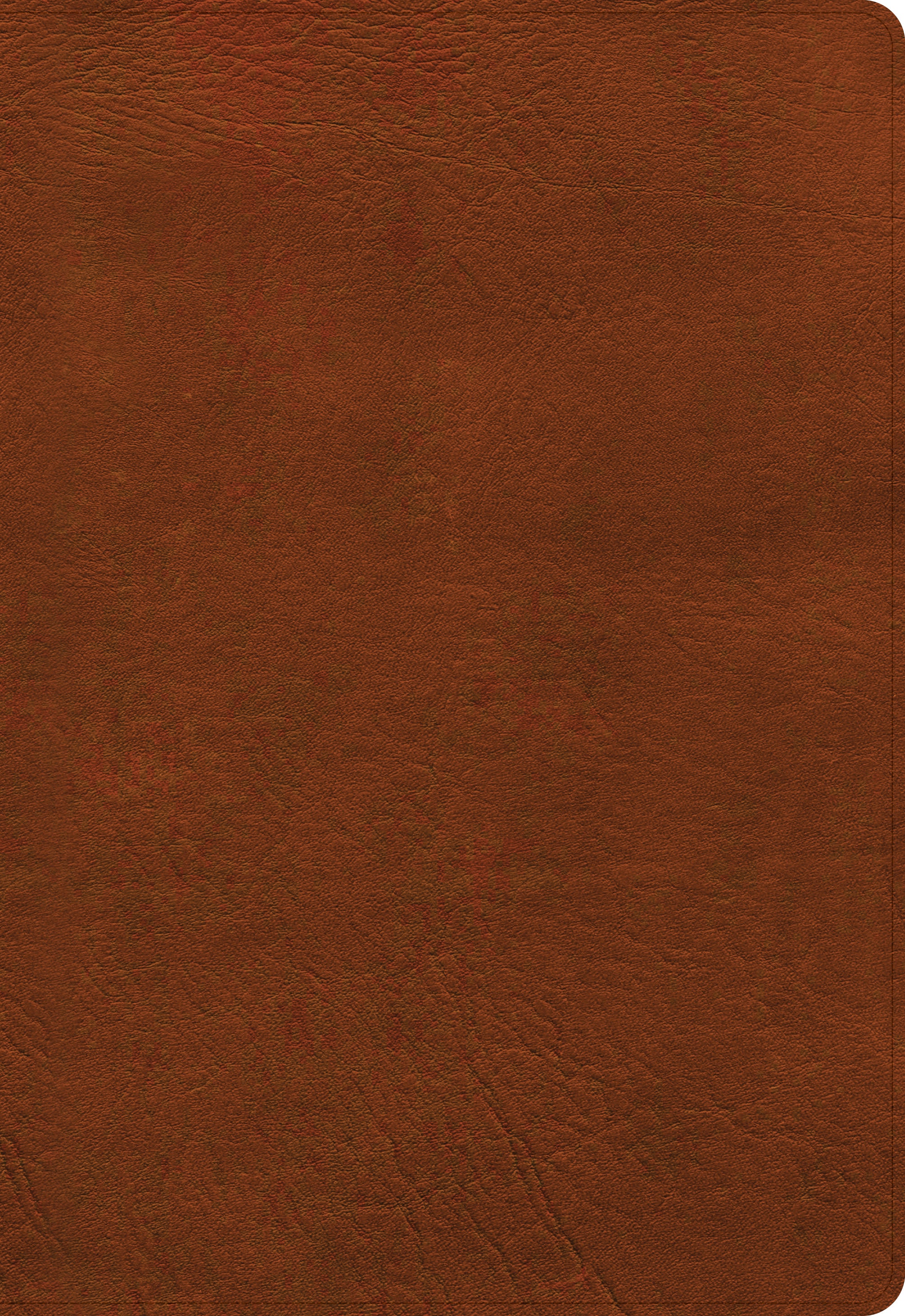 NASB Super Giant Print Reference Bible Burnt Sienna (Red Letter Edition)
