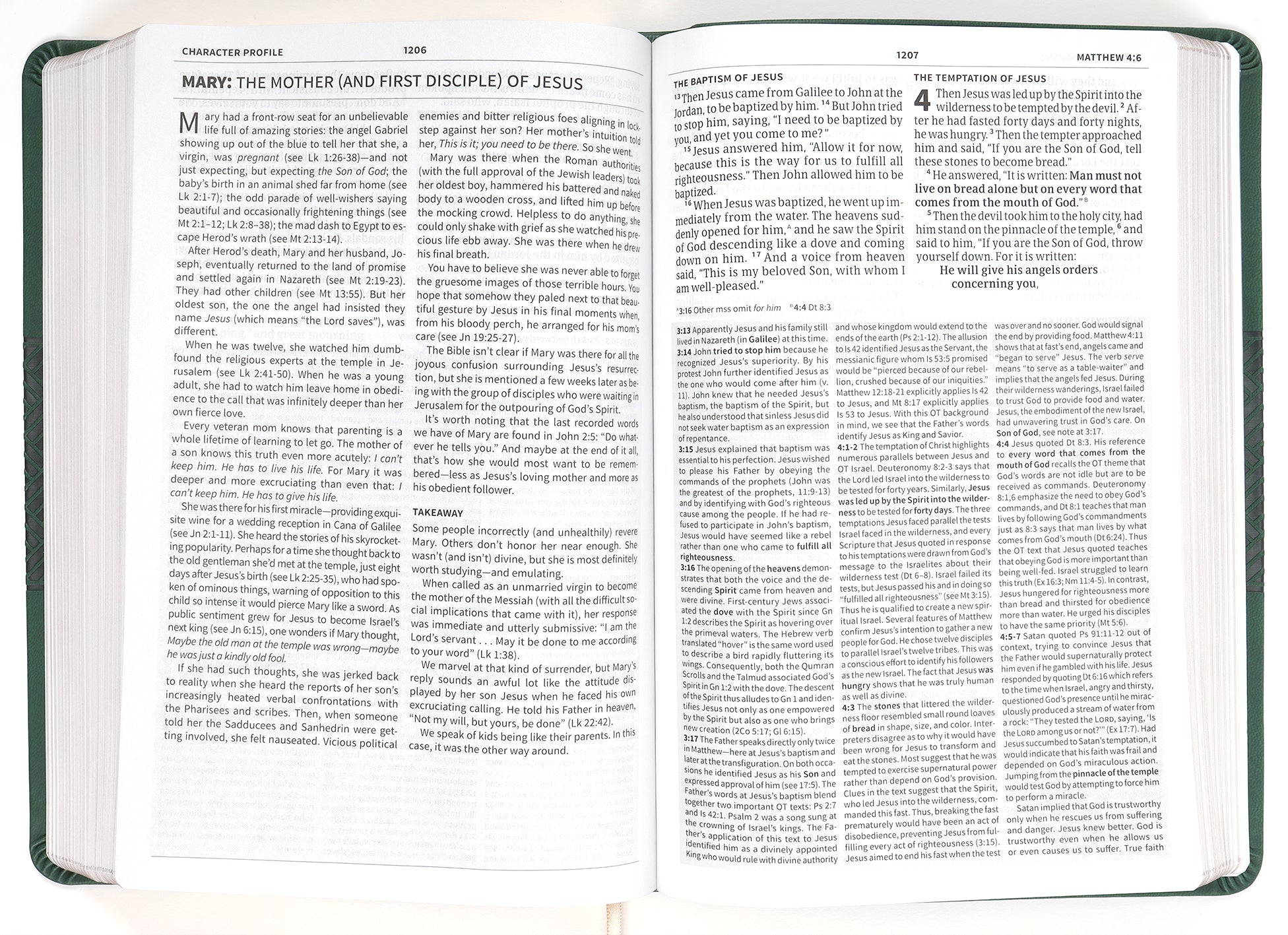 CSB Everyday Study Bible Forest