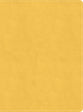 CSB Lifeway Women's Bible Marigold (Black Letter Edition)