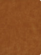CSB Lifeway Women's Bible Butterscotch (Black Letter Edition)