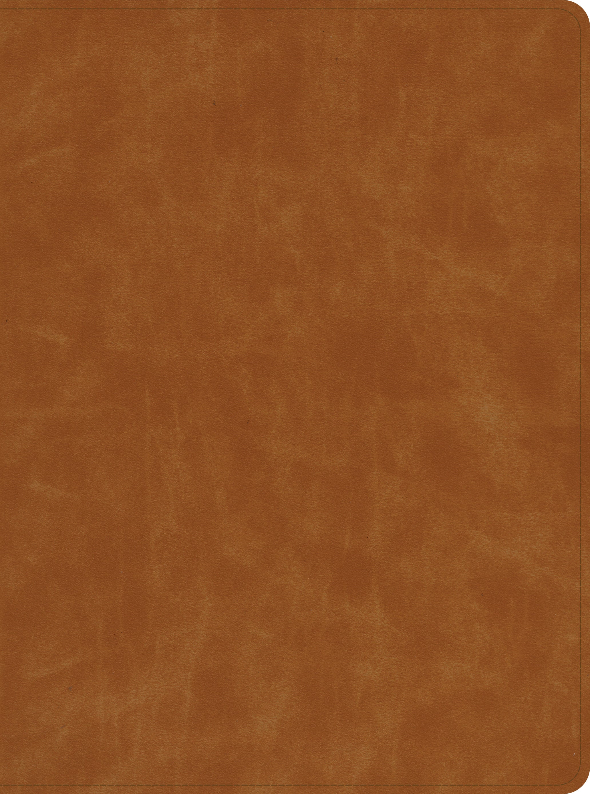 CSB Lifeway Women's Bible Butterscotch Indexed (Black Letter Edition)